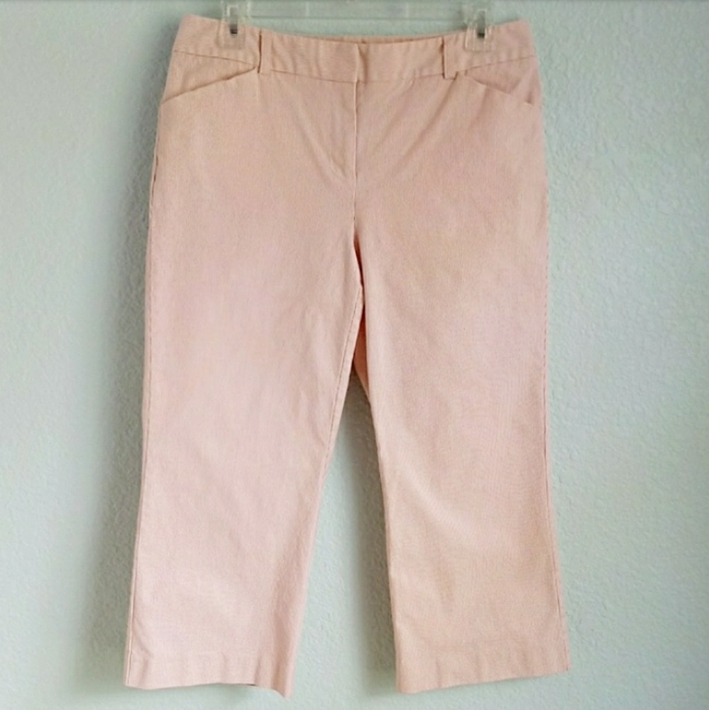 ANN TAYLOR | Pin Stripe Cotton Capri Sz. 8